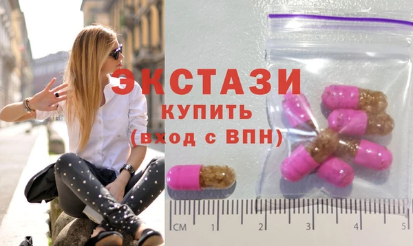 винт Ельня