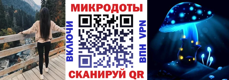 Купить  Реутов  Галлюциногенные грибы Magic Shrooms 