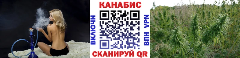 Купить где  Реутов  Бошки Шишки SATIVA & INDICA 